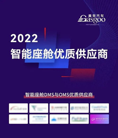 數(shù)據(jù)開(kāi)源推動(dòng)智能交通發(fā)展 Magic Data DMS駕駛員行為數(shù)據(jù)集與信息技術(shù)咨詢(xún)服務(wù)